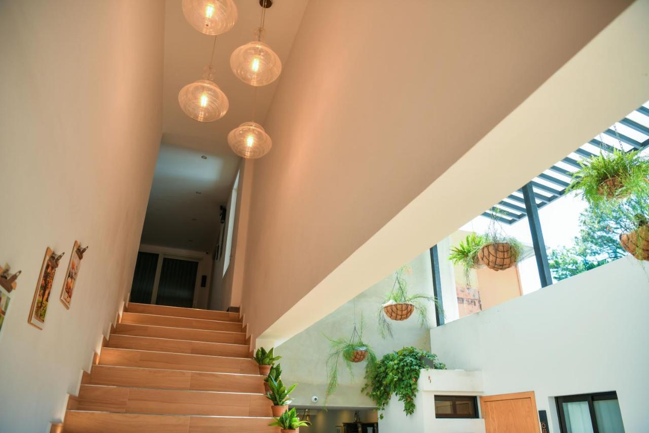 Kaleo Hotel Boutique San Salvador Extérieur photo