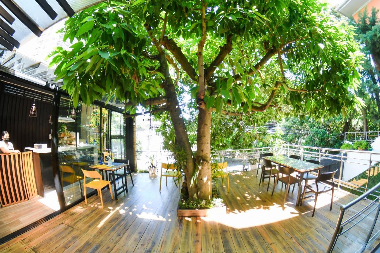 Kaleo Hotel Boutique San Salvador Extérieur photo