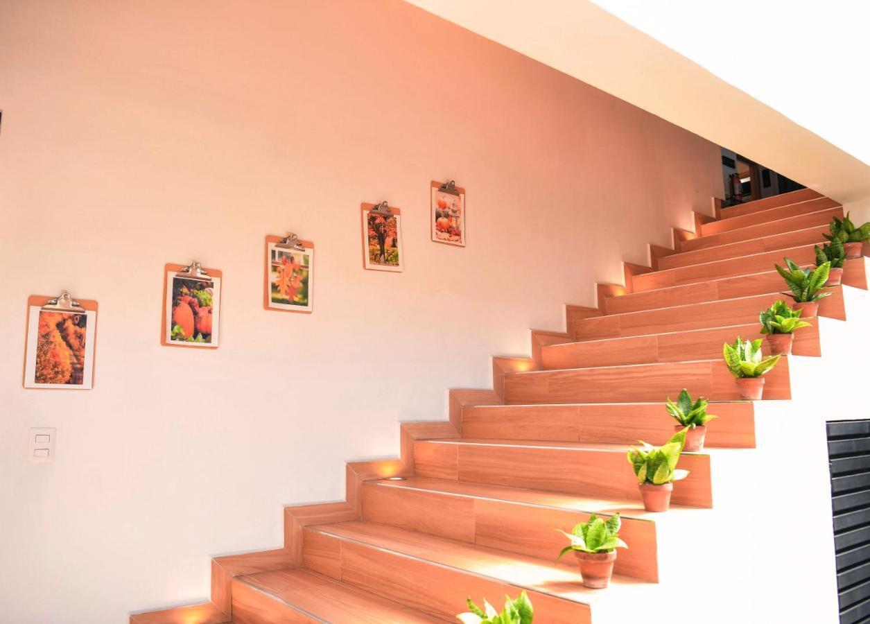 Kaleo Hotel Boutique San Salvador Extérieur photo